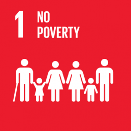 SDG 1 NO POVERTY