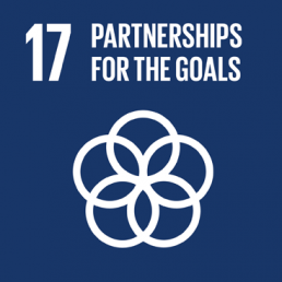 SDG 17 PARTNERSHIPS FOR THE GOALS