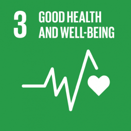 SDG 3 GOOD HEALTH AND WELL-BEING